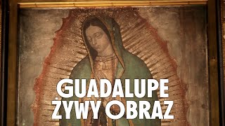 Guadalupe zywy Obraz